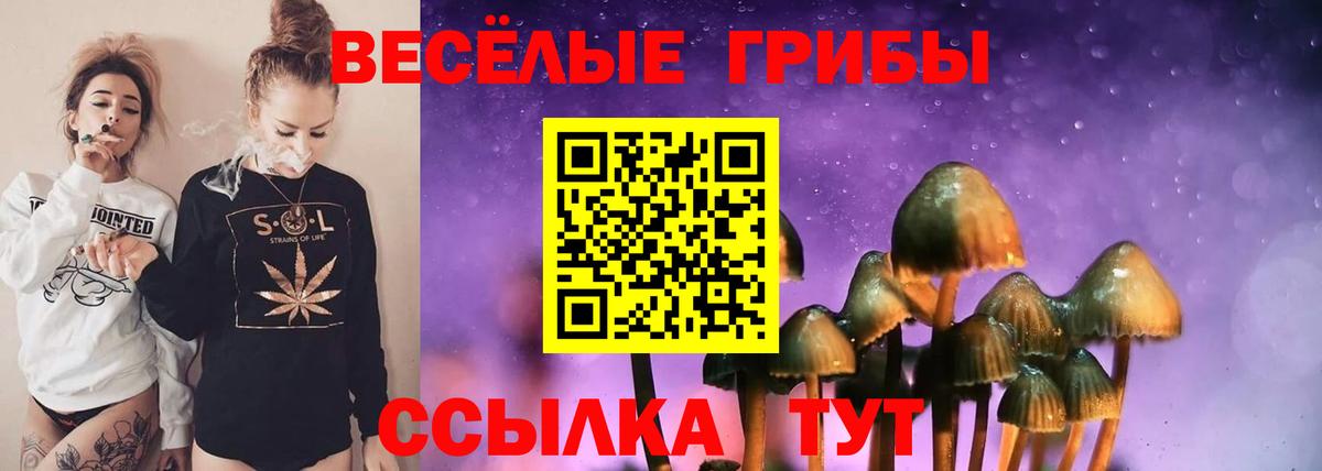 Галлюциногенные грибы Psilocybine cubensis Тайшет