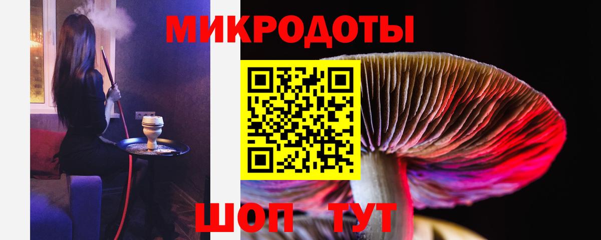 Галлюциногенные грибы Psilocybe  Вход с VPN  Тайшет  Галлюциногенные грибы Magic Shrooms 